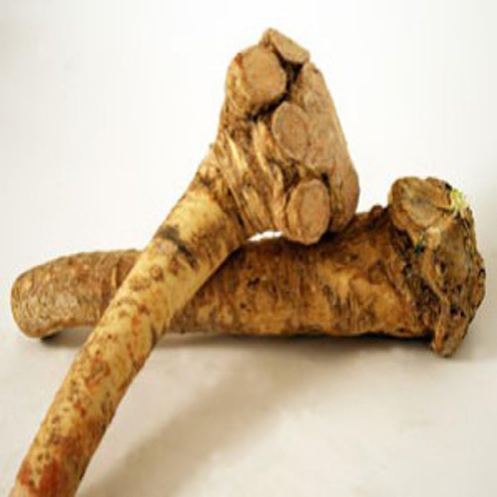Horseradish Roots Natural, 12 pound8 ounces,USA Only,Can Not be shipped internationally Ready For Planting or Preparing As Sauces or Dressings etc. JACOBS LADDER