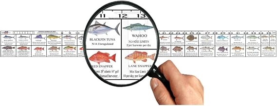 Florida Saltwater Fish Ruler Decal