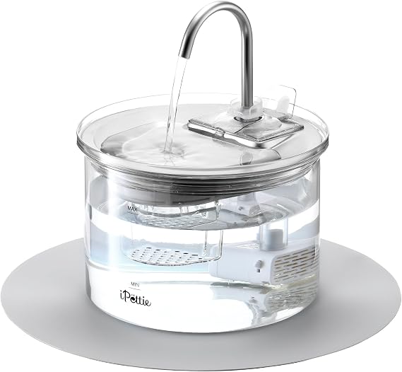 iPettie Glass Cat Water Fountain, Ultra Quiet Automatic Water Dispenser