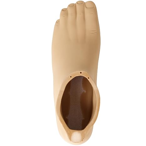 Prosthetic Foot Shell – Compatible with OSSUR and RUSH Prosthetic Foot – Sizes 22–29 cm, Left/Right (Left,28CM)