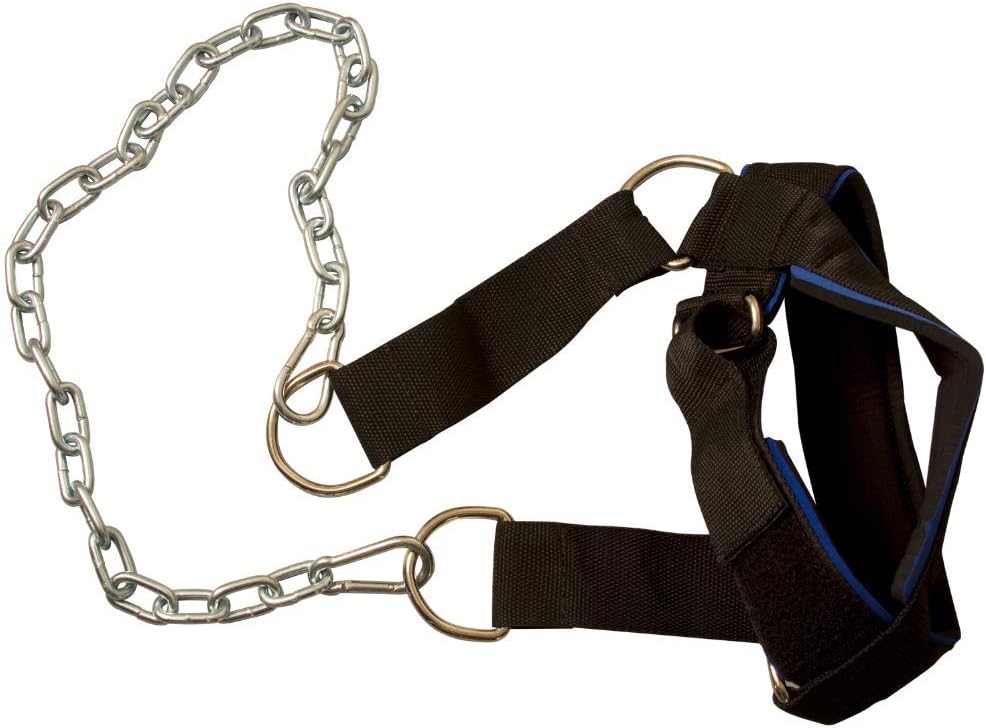 Body-Solid Nylon Head Harness - Neck Workout Equipment for Strength Training, Neck Exercise and Weight Lifting, Black