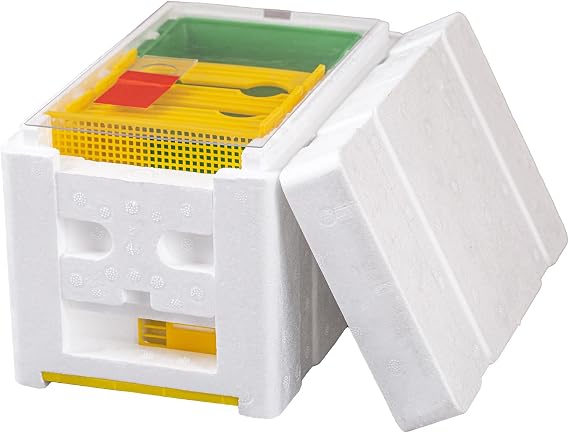 ZffXH Beekeeping Queen Breeding Rearing Single Polystyrene Mating Nucs Hive Equipment Foam Queen Rearing Hive Box for Beekeeper
