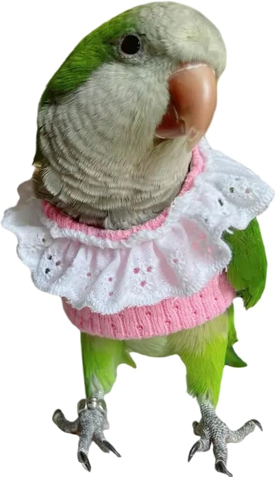 Bird Costume Bird Diaper Flight Suit Bird Knitwear Clothes Cosplay Photo Prop for Parrots Lovebird Parakeet Cockatiel Small Animals Apparel (Pink,Sun Conure)