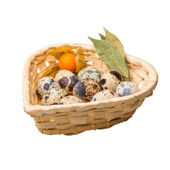 Fresh Quail Eggs laid in the US (medium, 20, Count)