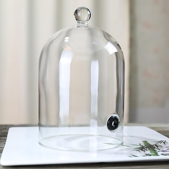 Smoking Cloche Smoking Gun Accessory Glass Dome Cloche Cover Smoking Infuser for Smoker Gun Smoking Infusion Plates, Bowls and Glasse,15 * 19cm
