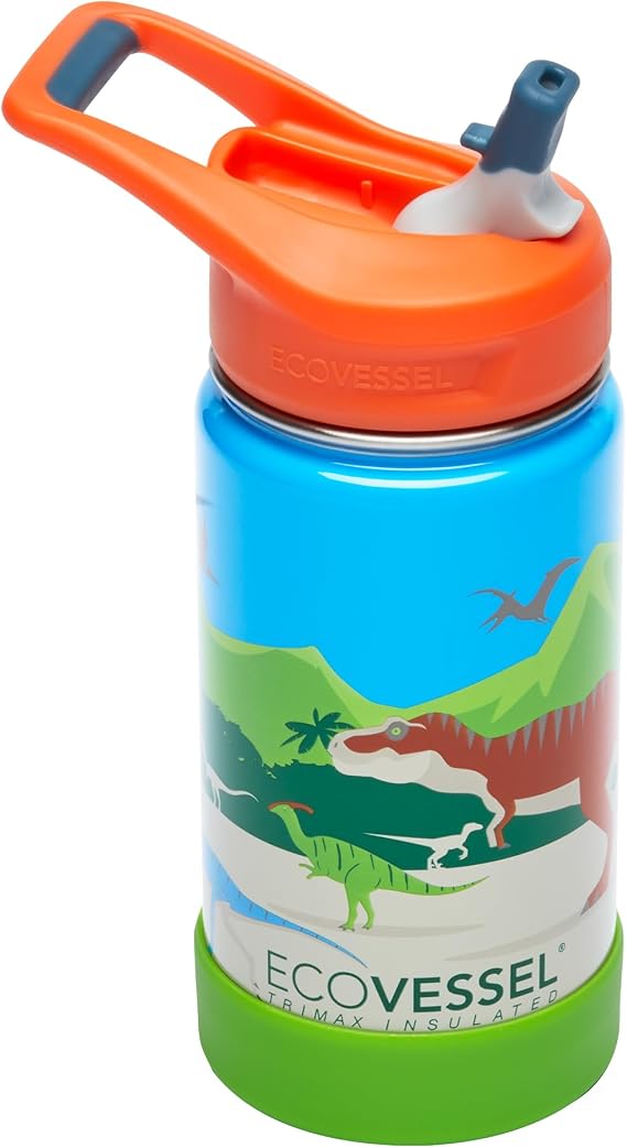 EcoVessel FROST Stainless Steel Kids Water Bottle with Straw Lid, Leak Proof Bottle for School with Carry Handle & Silicone Base Bumper - 12oz (Dinosaur)