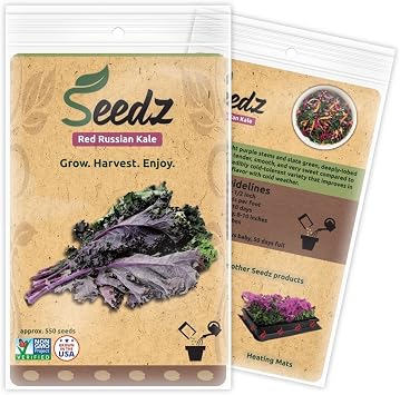 Organic Kale Seeds, APPR. 550, Red Russian Kale, Heirloom Vegetable Seeds, Certified Organic, Non GMO, Non Hybrid, USA