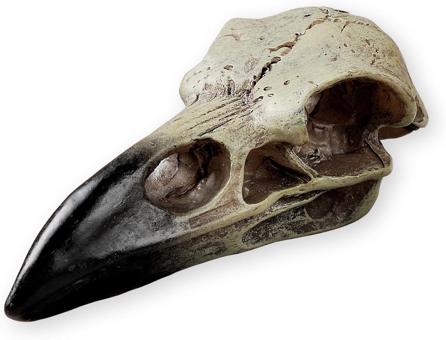 Halloween Raven Skull, Gothic Raven Decor Statue Animal Skull, Fake Bone Decor Crow Necklace Head Jewelry Pendant, Bird Skeleton Mask Crown, Witchy Gift for Men and Women 1 Pack