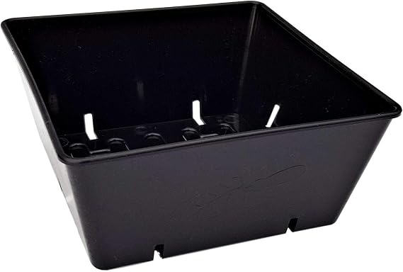Bootstrap Farmer 5x5 Grow Trays 40 Pack in Black | Extra Strength Inserts for Microgreens & Seed Starting | Heavy Duty Food-Safe Plastic Fits Standard 1020 Flats