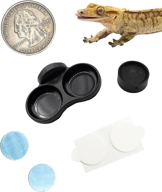 Pangea Microdish Kit for Micro Gecko Feeding, Water Bowl for Tiny Reptiles