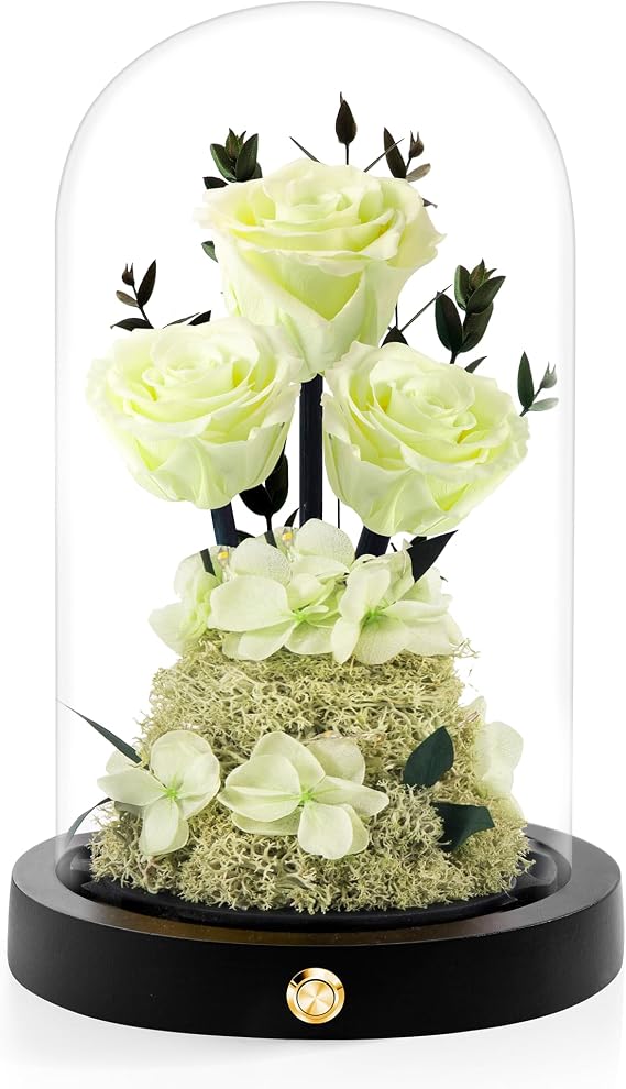 Agrul Mothers Day Flowers Roses Gifts for Mom,Forever Preserved Flower Rose in Glass Dome,Fresh Flowers for Delivery,Mothers Day Birthday Gifts for Wife Women Mom Grandma from Daughter/Light Green