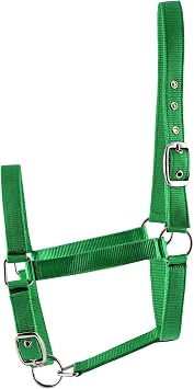 Jeffers Adjustable Nylon Horse Halter Full Size - Double Ply Webbing, Single Buckle Crown, Adjustable Noseband, Durable Equine Halter for Leading, Grooming, Stable, Barn, Ranch Use - Kelly Green