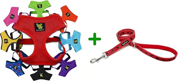 Red Dog Harness and Matching Leash