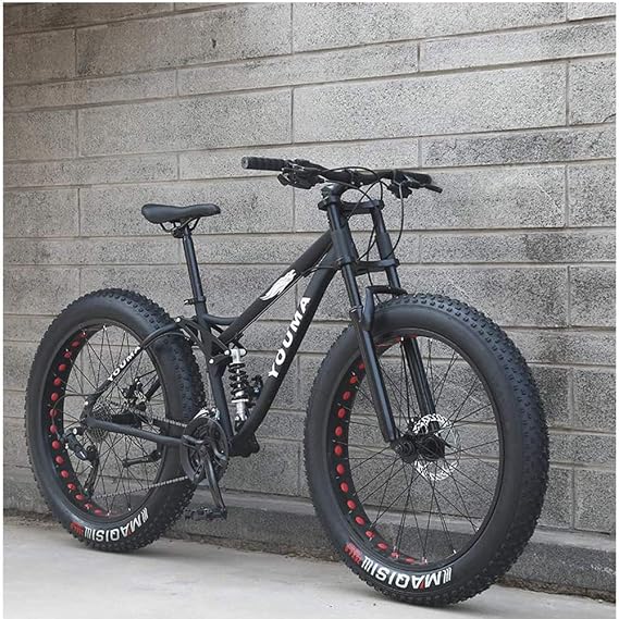 26 Inch Mountain Bikes, Adult Boys Girls Fat Tire Mountain Trail Bike, Dual Disc Brake Bicycle, High-carbon Steel Frame, Anti-Slip,21 Speed