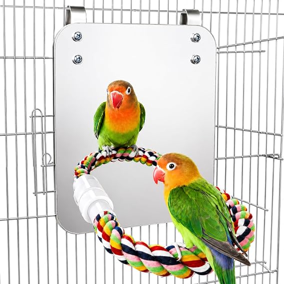 BWOGUE 7 Inch Bird Mirror with Rope Perch Cockatiel Mirror for Cage Bird Toys Swing Parrot Cage Toys for Parakeet Cockatoo Cockatiel Conure Lovebirds Finch Canaries