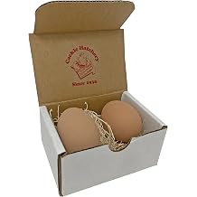 Cackle Hatchery Ceramic Nest Eggs (2 Brown)