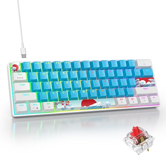 Blue and White Mechanical Gaming Keyboard 60%, 61 Keys Small Wired RGB Keyboard with PBT Keycaps, Anti-Ghosting for Game/Office