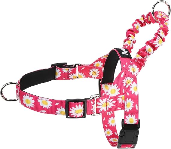 PUPTECK No Pull Dog Harness Small Sized Dog, Adjustable Reflective Pet Vest Harness with Bungee Handle, Escape Proof No Choke Harness for Small Dogs Walking Training, Fuschia Daisy M