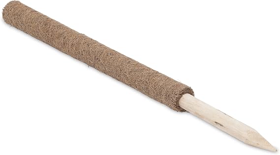Windhager 05660 Hindistan Cevizi Bitki Çubuğu, Tırmanma Çubuğu, Çiçek Çubuğu, Hindistan Cevizi Çubuğu, Dekorasyon İçin, Doğal Hindistan Cevizi Lifinden, Uzatılabilir, 60 Cm