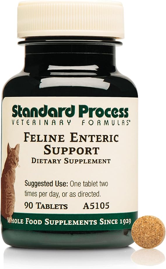 Standard Process Feline Enteric Support, 90 Tablets | Digestive System Supplement for Cats, Contains Functional Whole Foods That Support Intestinal Cell Function