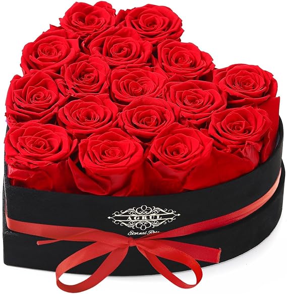 Agrul Mothers Day Roses Gifts for Mom,Forever Preserved Flowers Roses in a Heart Shape Box, for Wife Women Mom Grandma from Daughter,Fresh Flowers for Delivery/16Pcs Red