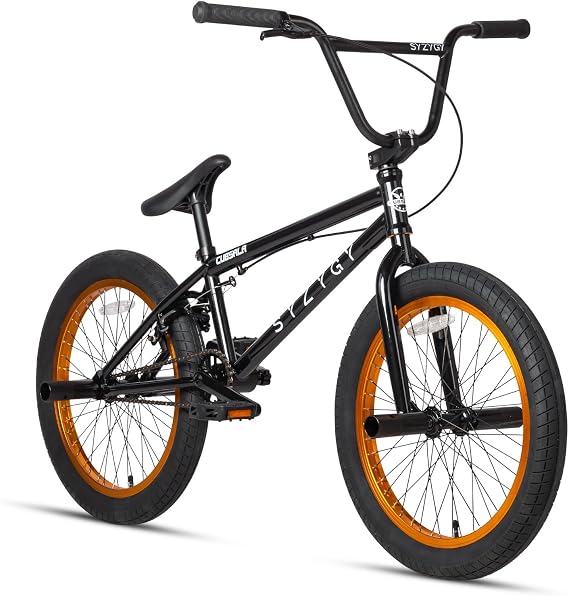 cubsala 20" BMX Bike Freestyle Bicycle for Boys and Beginner Riders 6 7 8 9 10 11 12 13 14 Years Old Bright Black