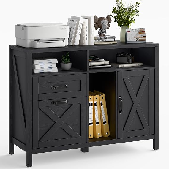 Halitaa Farmhouse Lateral File Cabinet with 2 Drawers and Door, Black