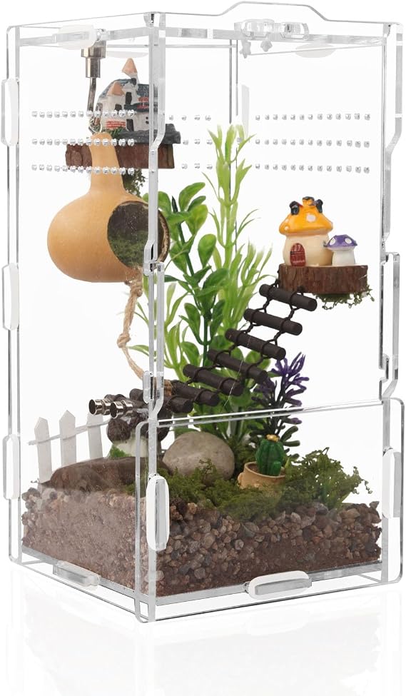 Jumping Spider Enclosure Acrylic Terrarium 8x4x4