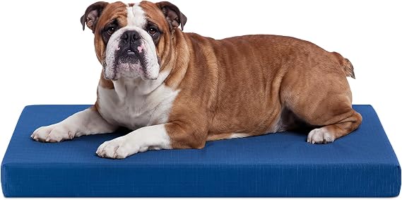 K9 Ballistics Tough Ripstop Orthopedic Crate Bed, 35 x 22, Blue Quartz