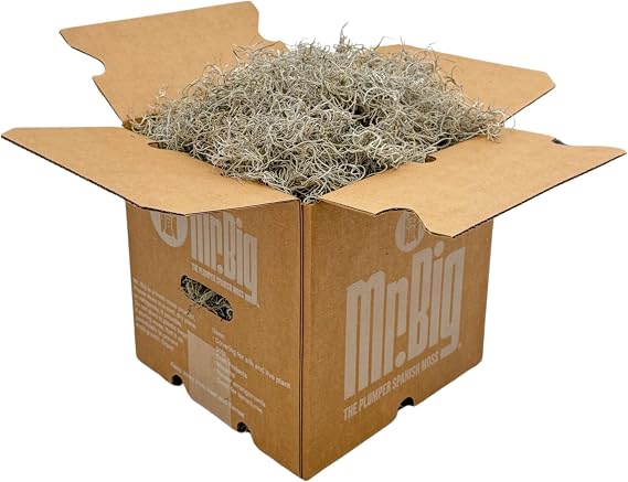 Quality Growers - Mr. Big Fresh Preserved Spanish Moss - Premium Decorative Moss for Crafts, Home Decor, Art, Design & DIY Projects - Real Moss - Non-Toxic - Made in USA (Natural, Box)