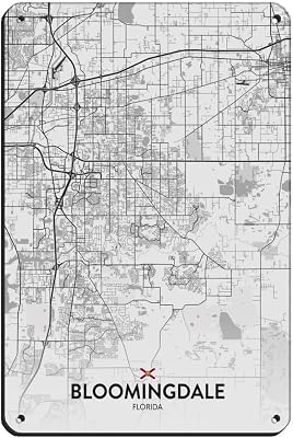 CFIOZYOS Black And White CityMap Bloomingdale FL Tin Sign Vintage Metal Pub Club Cafe Bar Home Wall Art Decoration Poster Retro White8x12inch20x30cm