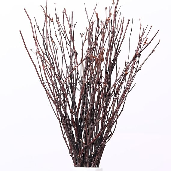 20Pcs Real Dried Birch Twigs - 17" Natural Decorative Birch Branches for Vase, Centerpiece, Sticks for DIY Crafts, Twig Wreath, Flower Arrangement, Plants for Rustic Home Wedding Decor