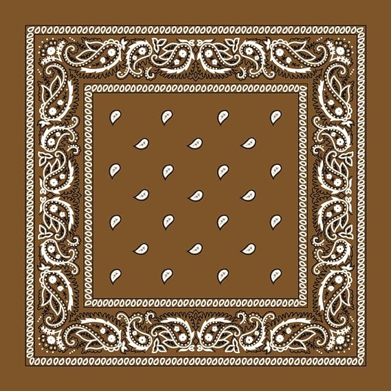 Large 100% Cotton Paisley Bandanas (22 inch x 22 inch)