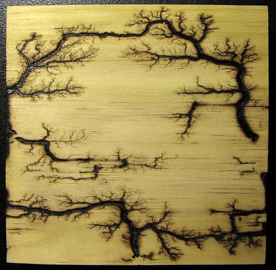 imagesco - Etched Lightning (TM) Captured In Wood. Branching High Voltage Electrical Discharge Creates One-of-a-Kind Lichtenberg Figure Artwork Of Elegant Bonsai Style Zen Patterns Burned Into Wood.