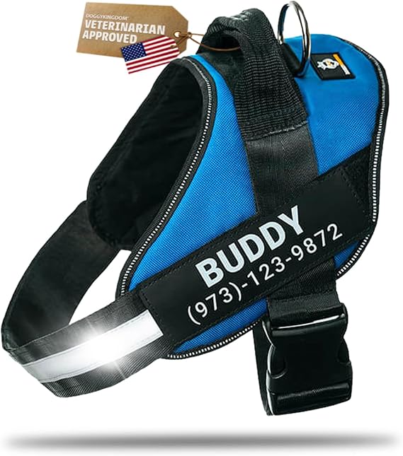 DOGGYKINGDOM Personalized Dog Harness with Custom Name Patches, Adjustable Reflective No Choke Dog Vest with Handle for Large Dogs, Blue, L