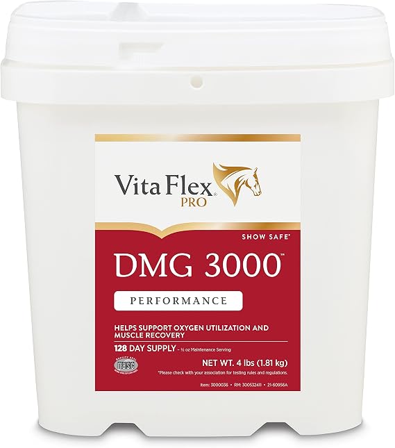 Vita Flex Pro DMG 3000 Horse DMG Concentrate, 4 lbs, 128-Day Supply | Helps transport oxygen that breaks down glycogen to fuel the ATP cycle, creating energy in the body