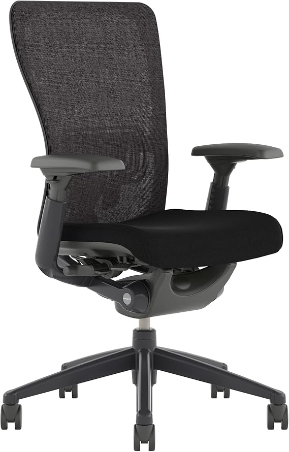 Haworth Zody Classic High Performance Office Chair with Ergonomic Adjustments and Tilt Feature in Flexible Mesh Back (Black/with Lumbar Support)