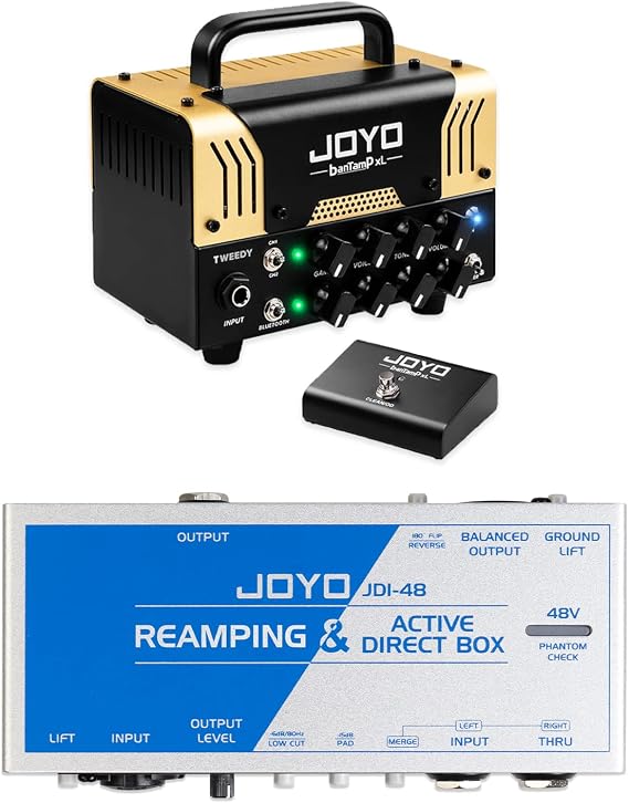 JOYO Tweedy Mini Amplifier Tube Head 20 Watt Preamp 2 Channel Hybrid and JDI-48 Active Direct Box Passive Reamping & Phantom Powered