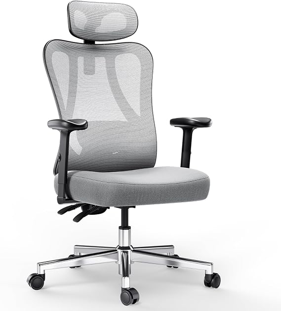 Hbada P3 Ergonnomic Office Chair with 2D Adjustable Lumbar Support, Office Chair with Adjustable Headrest and Armrest, 145 Stepless Tilt Function, Grey(No Footrest)
