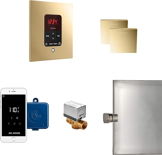 Mr. Steam Butler Square Max Package (Polished Brass)