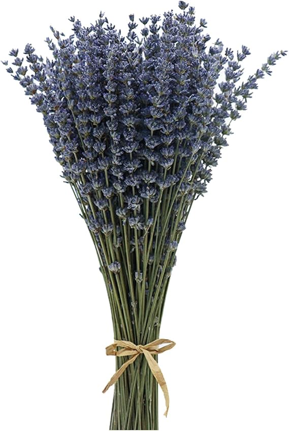Dried Lavender Flowers Bundles 200 Stems Dry Lavender Bunch for Home Decor, Crafts, Wedding Bouquets