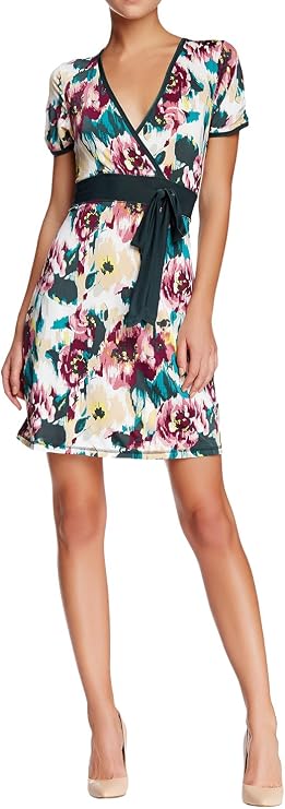 VertiGo Paris Women's Printed Short Sleeve Faux-Wrap Dress - Soft Focus - X-Large