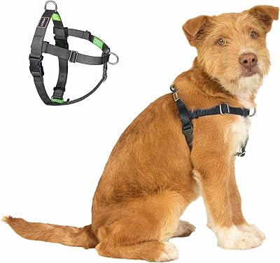 Freedom No Pull Dog Harness, Easy Walker, Stop Pulling with Two Stainless D-Rings, Comfortable, Sewn-in Instructions Tags for Easy Use, for Small Dogs Weight 20-30 lbs Black, Small