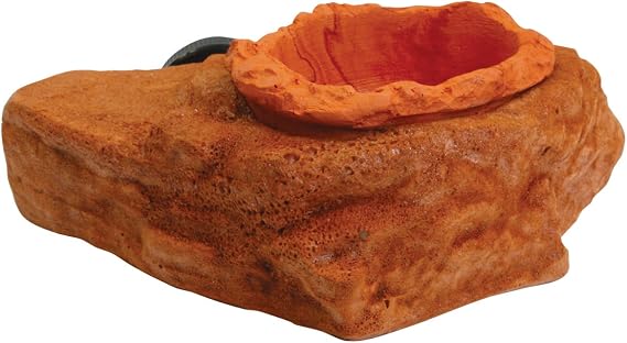 Food & Water Ledge Mojave - Magnetic Decor
