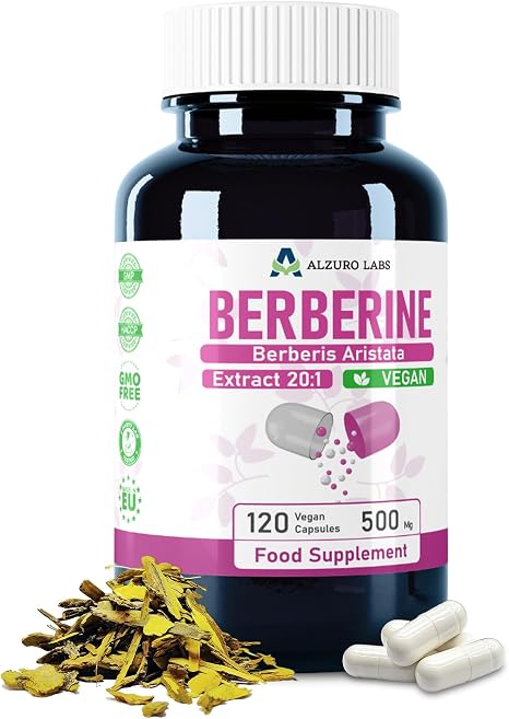 Berberine 10000 mg equivalent (500 mg 20:1 extract) 120 vegan capsules 4-month supply Berberine - Berberis aristata GMP and laboratory tested