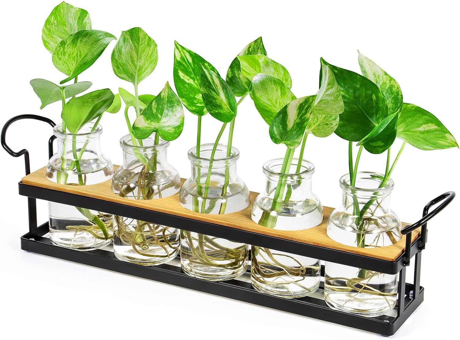 THYGIFTREE Plant Propagation Stations with Metal Stand, Tabletop Plant Terrarium for Propagating Hydroponic, Retro Glass Planter Flower Vase Home Kitchen Office Decor, Plant Lover Gifts