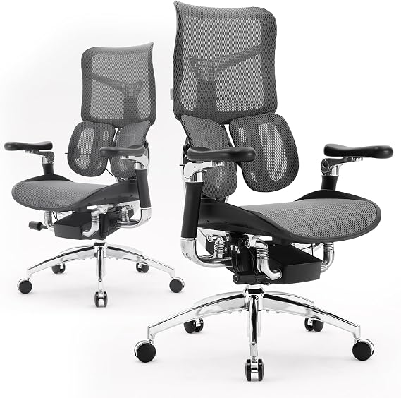 SIHOO Doro S300 Ergonomic Office Chair, Computer Chair, Gaming Chair with Dual Dynamic Lumbar Support, 6D Coordinated Armrests, Adjustable Rolling Chair (Black Italian Velvet Mesh)