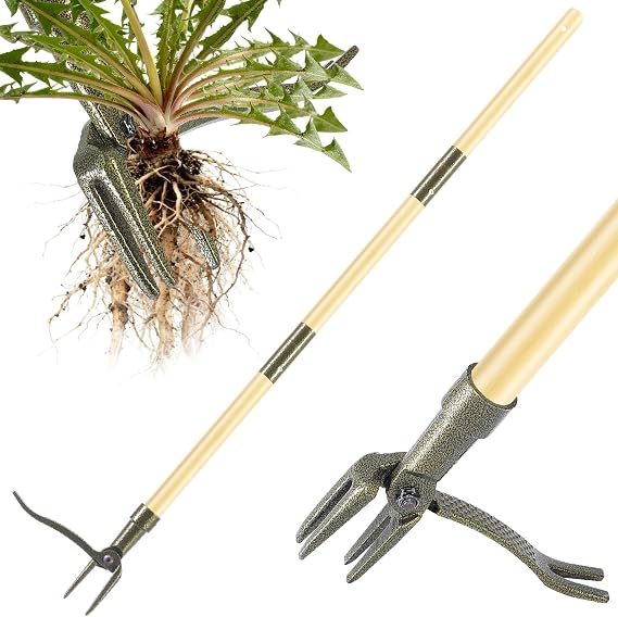 Weed Puller Tool, Stand Up Heavy Duty Weed Remover Tool with Long Handle 4-Claw Steel Head Weeder for Dandelions, Bamboo Garden Hand Weeding Tool, No Kneeling for Easy Root Removal