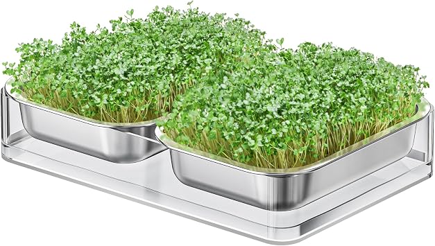 FANHAO Upgraded Visual Seed Sprouter Tray, Stainless Steel Soil-Free Cultivation Germination Tray with Acrylic Base, Healthy Microgreens Growing Kit for Indoors Sprouting Seeds, Grow Grass, Beans