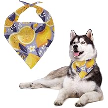 Lemon Fruit Dog Bandana, Summer Tropical Fruit Reversible Adjustable Puppy Bandanas, Retro Yellow Graphic Gift Triangle Bibs Scarf Large Dogs Girl Boy Pets